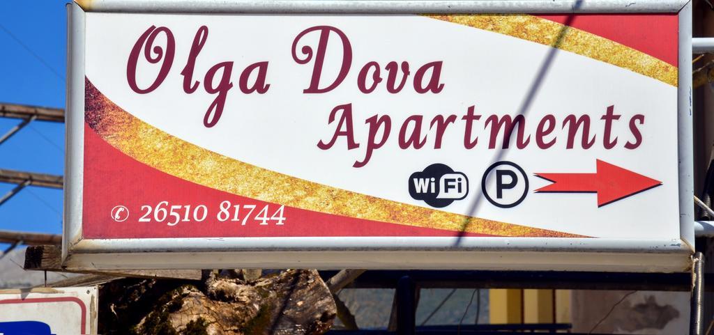 Olga Dova Apartments Ioánnina Exteriér fotografie